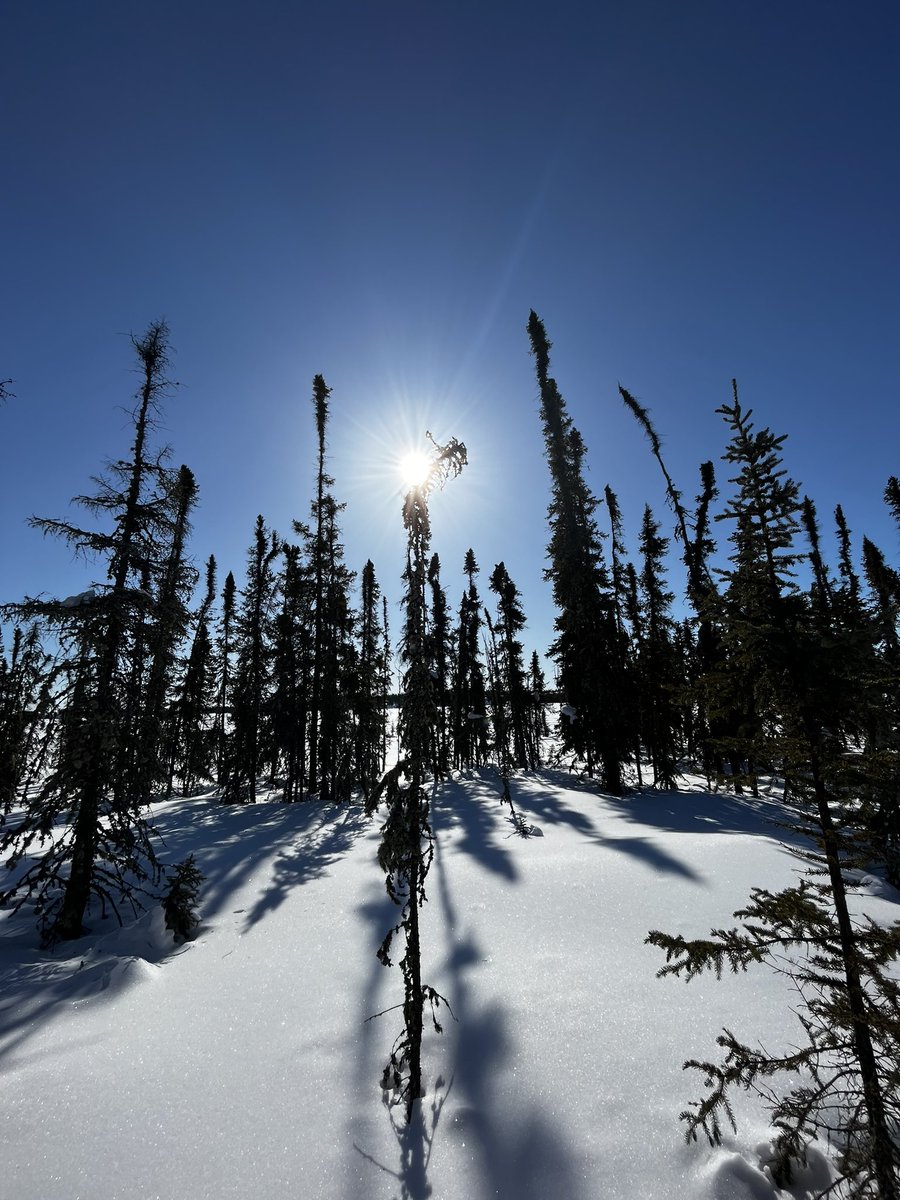 GJ_Woolley's tweet photo. Great day in Yellowknife taking measurements at our Birch and Peatland sites! https://t.co/yw1aHalGle