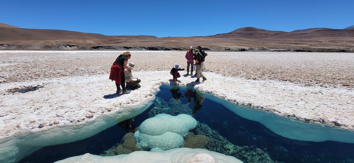 DEEMteam_Orsay's tweet photo. Gypsum, salt, and microbes in the Salar de Agua Amarga #Atacama https://t.co/zgoYijlR6y