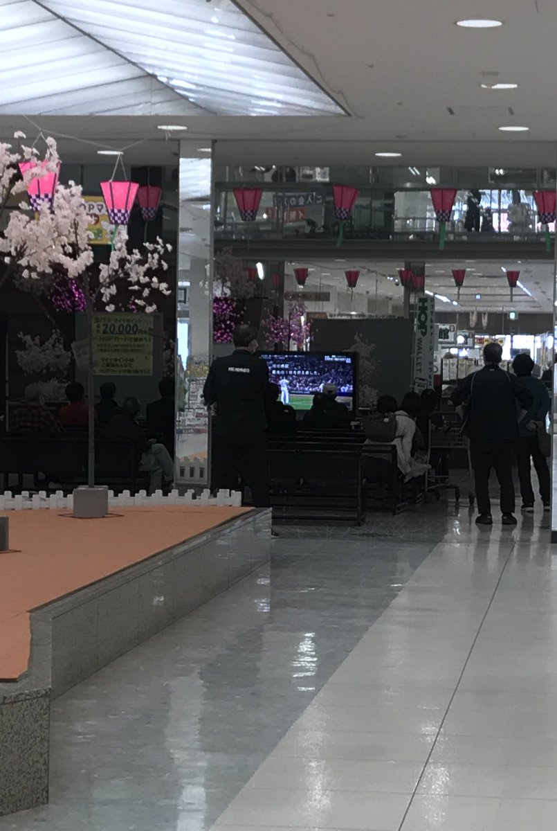 本日は野球日和ですね。
#WBC #翔べ大谷