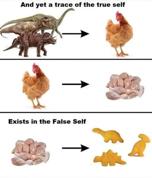 KantunAhau's tweet photo. 🐥🐤🐓🐔🦕🦖 Lo genial se los nuggetsaurios es que están hechos de verdaderos y legítimos dinosaurios. 🍗 #nuggets #nugget #nuggetsaurio #dinosaurio  #Nuggetsaurios #nuggetsdepollo #Pollo #chicken https://t.co/DjVLUWRIby