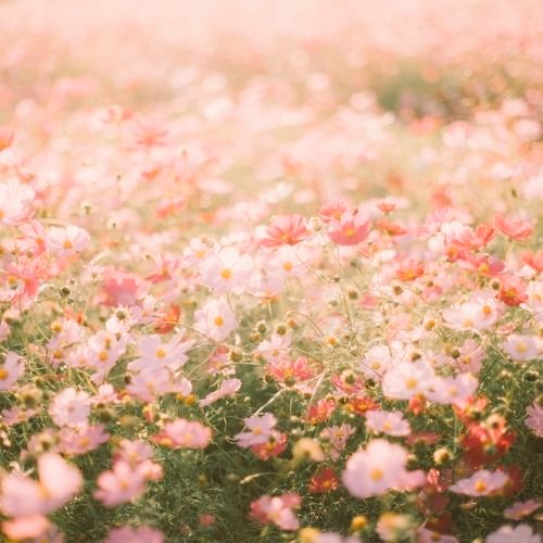 MercelCA's tweet image. |
↳ ♡₊˚. 03 liner // kpop lvr est. 2014

 #kpoptwt + #atinytwt ± #stantwt

ults; ateez, twice, victon, (g)i-dle, loona // #atiny #once #alice #neverland #orbit 

🌸 mostly post about ateez 🌸
no hate zone!!!

v《check thread for more》v