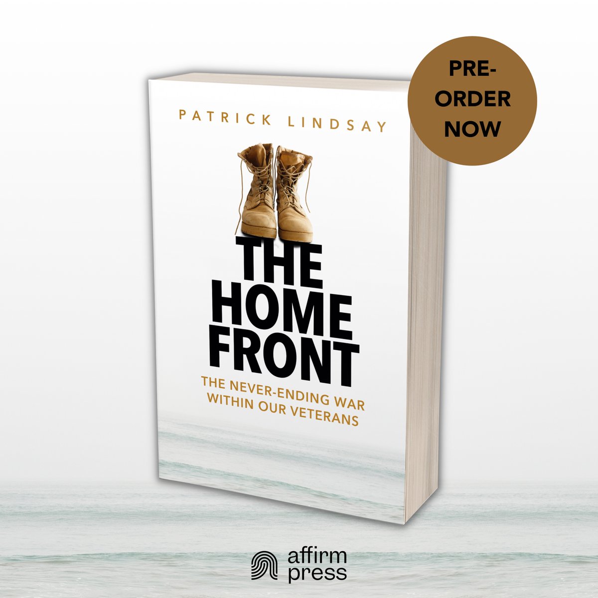 plindsayauthor's tweet photo. Hoping to change the way we think about our veterans. Pre-order: https://t.co/ZAFvzpeYt7 https://t.co/ZiFS5D9Jbu