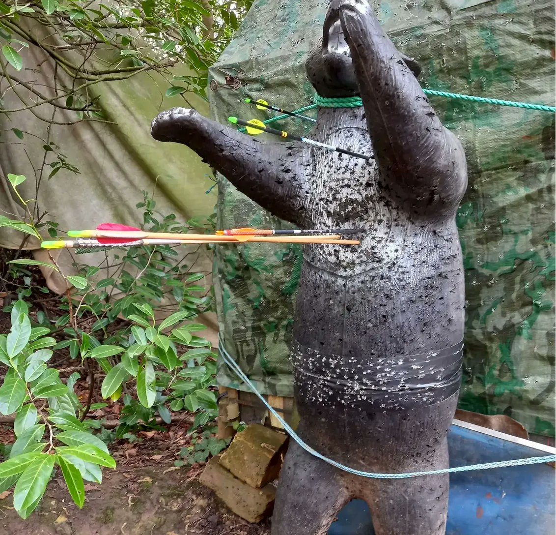 VaneTecInc's tweet photo. Great shooting! @lesjames63_the_happy_archer
#vanetecvanes
Vanetec Fletchings helping me get the job done.
#Vanetec inc
#walesarcheryspecialist 
https://t.co/Obzl3oibRs https://t.co/g5wvO1ZNIy
