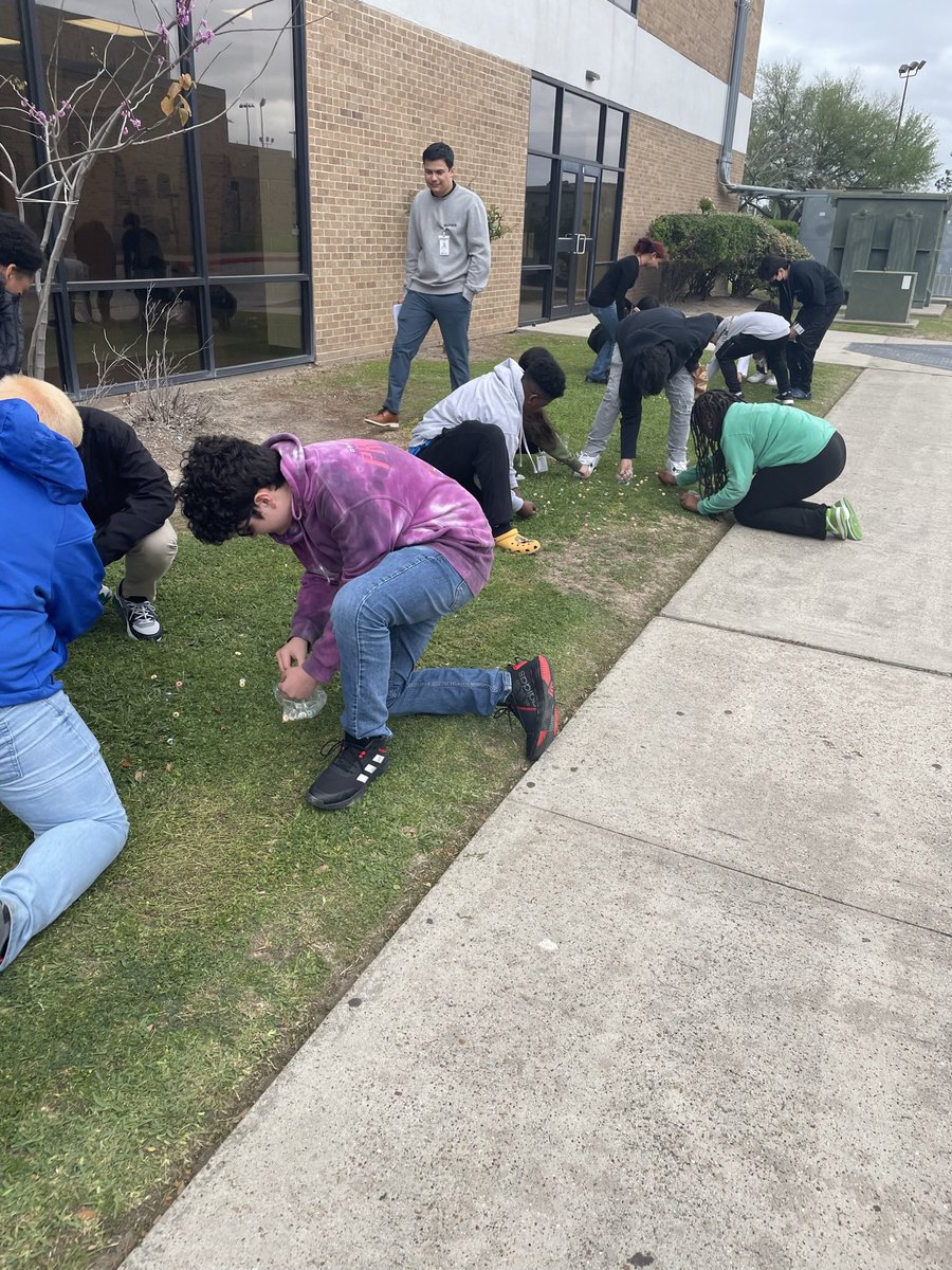 Paula Freund tweet media