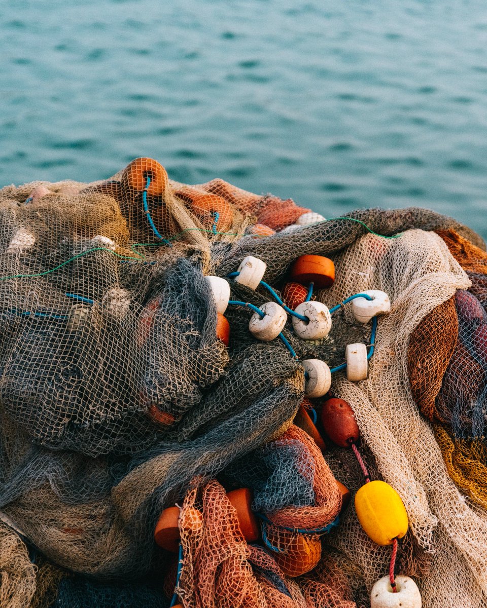 🐳 Did you know that fishing gear left in the ocean can become a floating death trap for marine wildlife?

😢 At least 640,000 tonnes of gear are estimated to be left in the seas every year.

Discover what we are doing to address this 🔽

unep.org/cobsea/news/st…