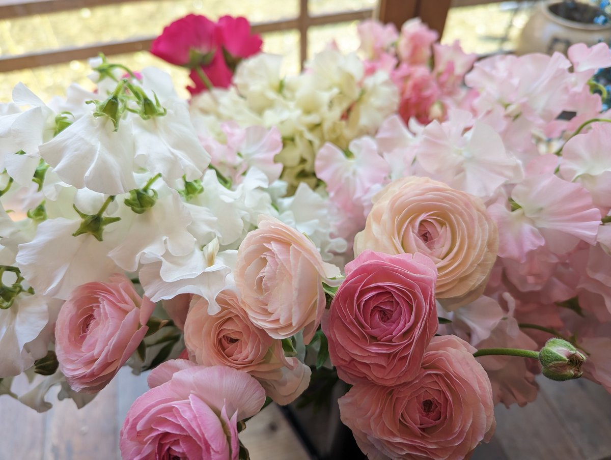nishimura_ryoko's tweet photo. 今日の仕入れ🌷
ファンタジー＆ラブリーなピンク系春のお花😍💘 https://t.co/Vf77L1592v