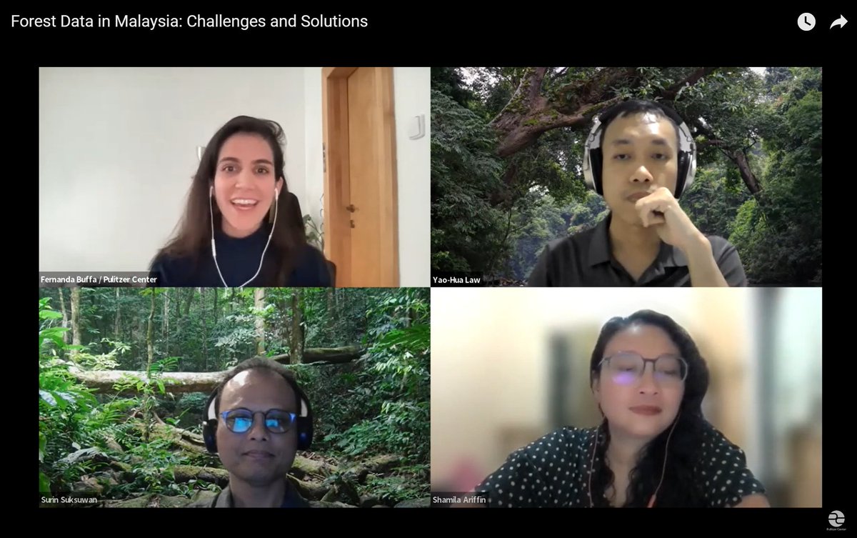 Webinar organized by @Rainforest_RIN on how unreliable data affects sustainability & how journalists, NGOs, civil societies, and governments can work together to improve forest management, starting with the data. 🌳🇲🇾
Watch here: youtube.com/watch?v=uCU_o3…
#IntlForestDay #ForestDay