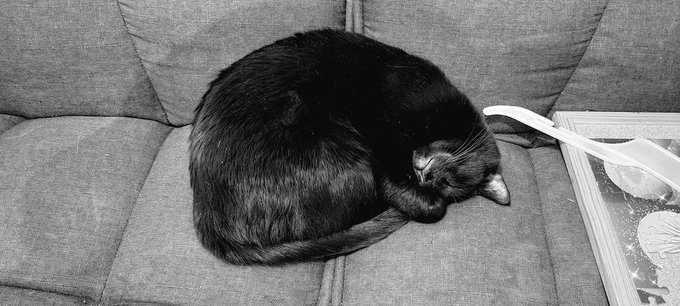 My homie Sam said, but first, I nap 😴 https://t.co/d6oZ8kMEoW<a href="/tag/cinemasins"class="tags"><span>#cinemasins</span></a>