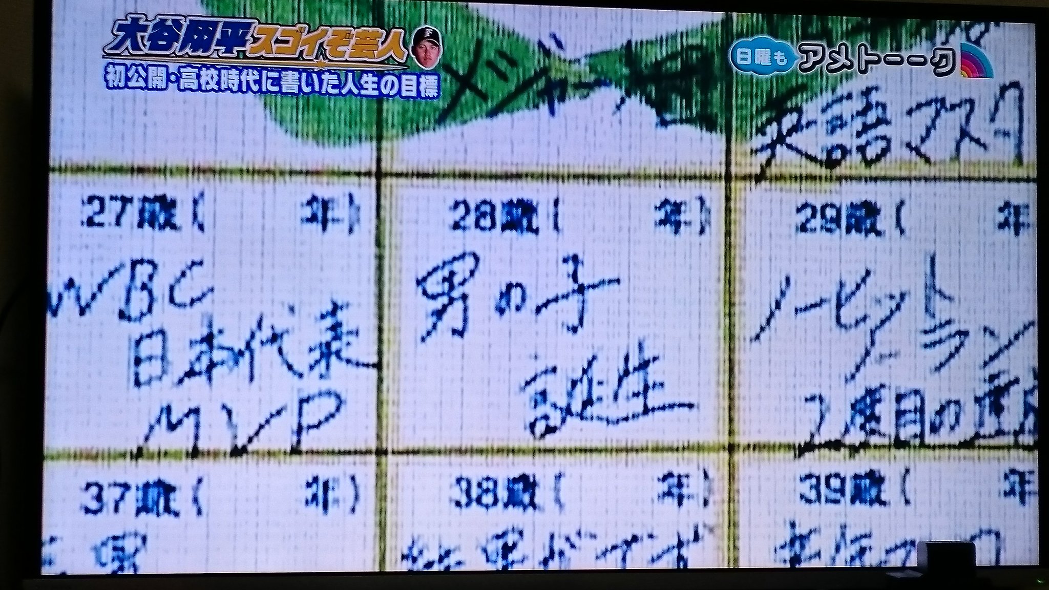 活動歴および当時の関連ビジュアル記録