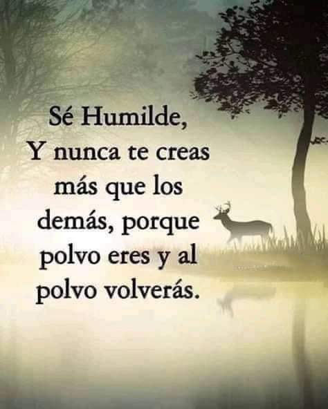 Se humilde y nunca te creas más que los demás, porque polvo eres y  a polvo volverás !