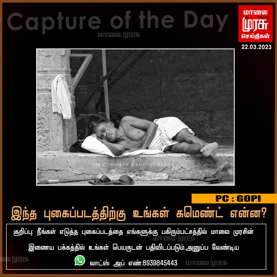 MalaimurasuTv's tweet photo. CAPTURE OF THE DAY |

#captureoftheday | #PictureOfTheDay | #comment | #Malaimurasu | https://t.co/0SbNWjgMdq