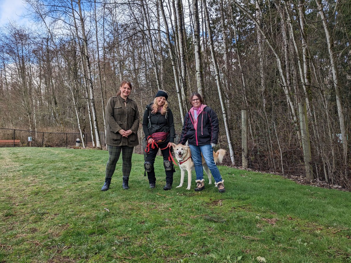 The Limelight Team had a great time this morning <a href="/TheNoahCenter/">The NOAH Center</a> meeting this sweet boy Dio Brando!  Stay tuned this week as we share his story. ♥️