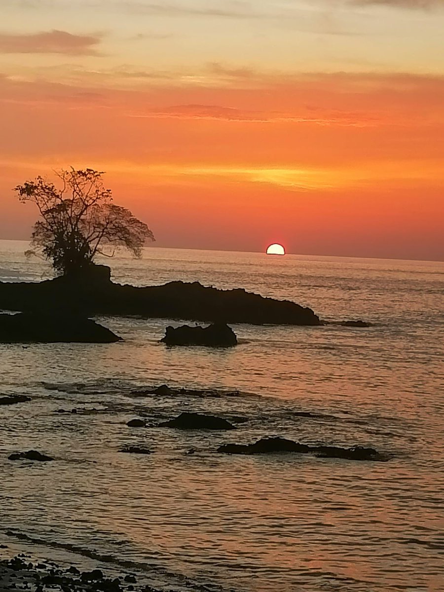 yilibergarcesg's tweet photo. Lindo atardecer desde el parque Nacional Natural #UTRIA PACIFICO COLOMBIANO - CHOCO.
Urge su protección y conservación @ParquesColombia @MinAmbienteCo @MincomercioCo https://t.co/IN2glu5x9z