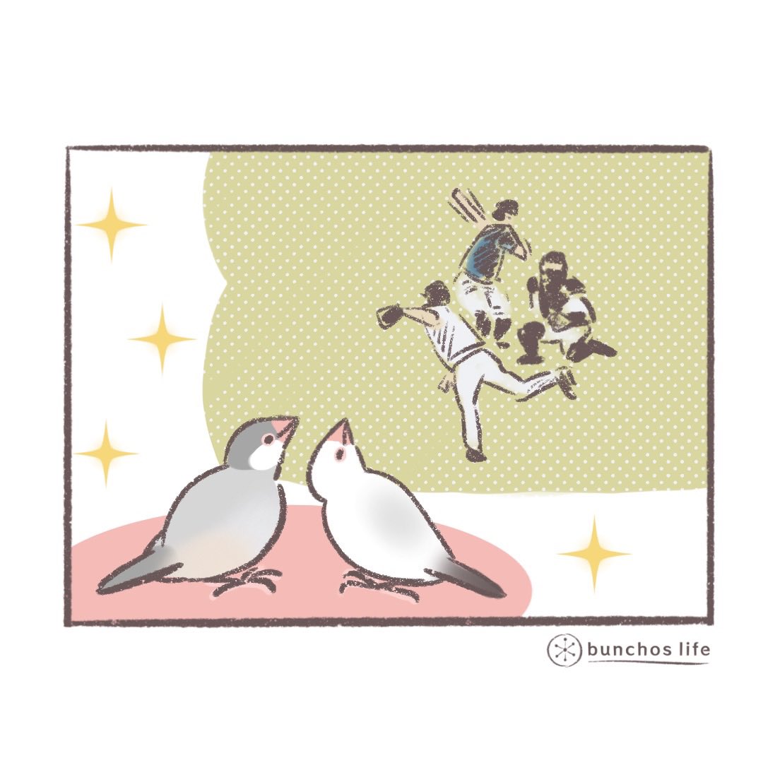 関係ないけどWBC2023優勝おめでとうございます✨文鳥達と楽しく観戦しました! 