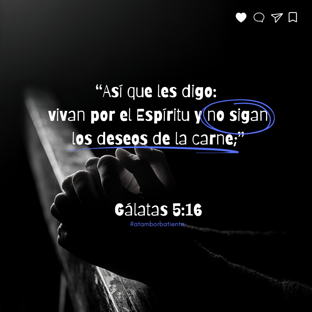 jerdmenger's tweet photo. Versículo de la semana | 📖
“Así que les digo: vivan por el Espíritu y no sigan los deseos de la carne;”
Gálatas 5:16 #atamborbatiente https://t.co/vLdjiAzg0z