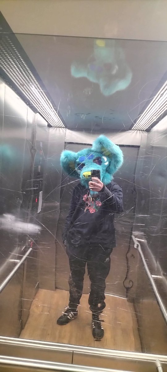 Naibthewolf's tweet photo. Yust a Wolf Going around The streets in my #fursuit and getting positive Feedbacks 🥰🥰 https://t.co/Q0RhhV7rbr