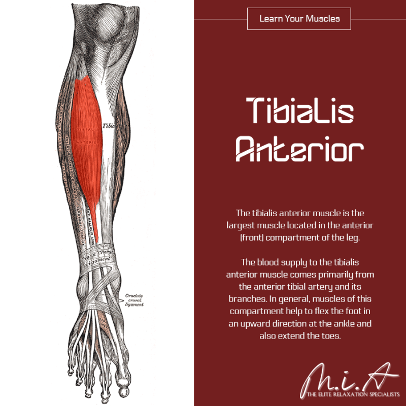 JustGoMIA's tweet image. Book Online Here👉 t.ly/pakC