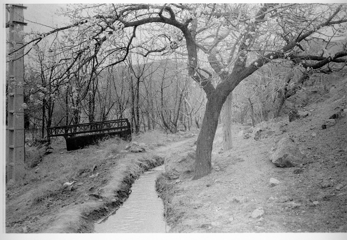 Ghadir Abshenas tweet media