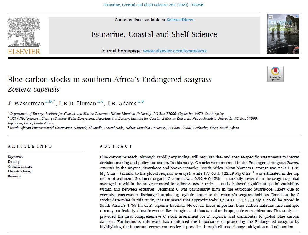 DSI/NRF SWE Research Chair tweet media