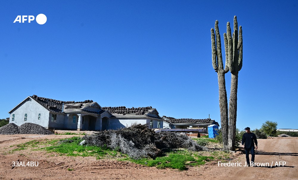Agence France-Presse tweet media