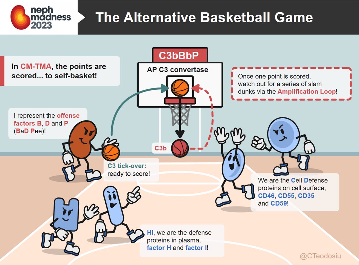 The visual abstracts for #NephMadness are amazing 🤩🤩🤩. 

Credit to all those involved. 

I particularly love this one by @CTeodosiu