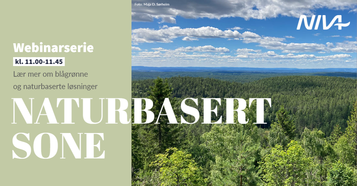 NIVAforskning's tweet image. Få med deg Naturbasert sone i morgen! 

Da kommer Maja Dinéh Sørheim fra Nordre Follo kommune for å fortelle om hvordan de jobber med arealnøytralitet og naturregnskap - "Et grønt skifte for natur- og arealforvaltning" 🌲🌿

Påmelding: events.teams.microsoft.com/event/bbf3a1a8…