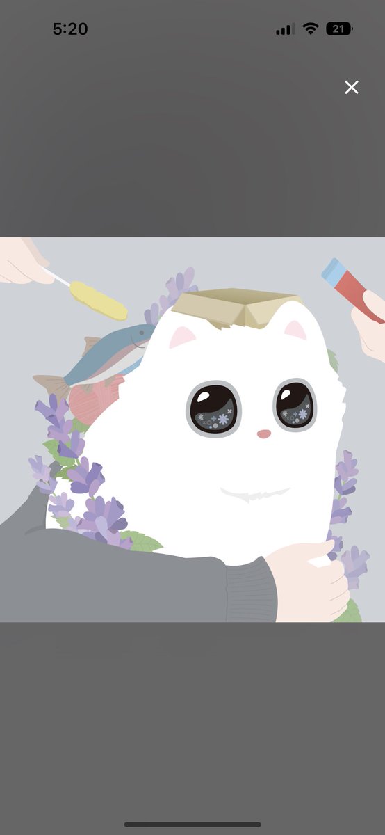 대마니 tweet media