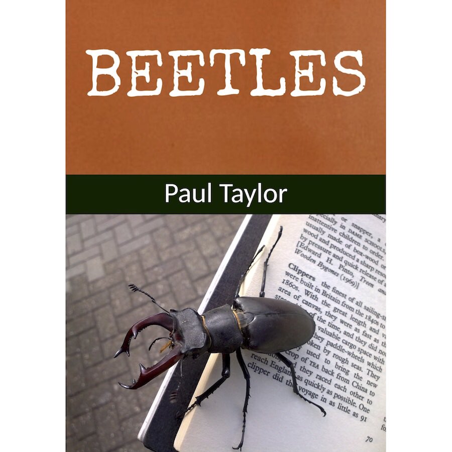 clickbeetletrio's tweet photo. @RoyEntSoc https://t.co/PCl604lqBx