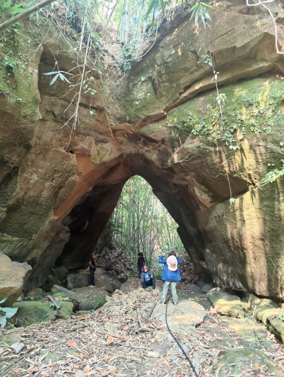 DDNewsMizoram's tweet photo. The Mystic Natural Gate Of Khamrang : A hidden treasure deep in the jungles of Mizoram 🌿 This stunning natural formation is a must-see for any adventurer. We’ve named it ‘The Gateway to Khamrang’ - what do you think? #Khamrang #Mizoram #NaturalArchway #TravelIndia #ddnewsmizoram https://t.co/f5hO2XCdWQ