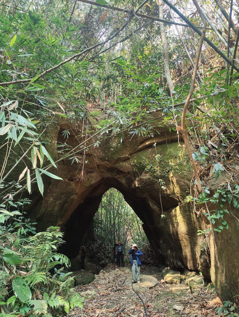 DDNewsMizoram's tweet photo. The Mystic Natural Gate Of Khamrang : A hidden treasure deep in the jungles of Mizoram 🌿 This stunning natural formation is a must-see for any adventurer. We’ve named it ‘The Gateway to Khamrang’ - what do you think? #Khamrang #Mizoram #NaturalArchway #TravelIndia #ddnewsmizoram https://t.co/f5hO2XCdWQ