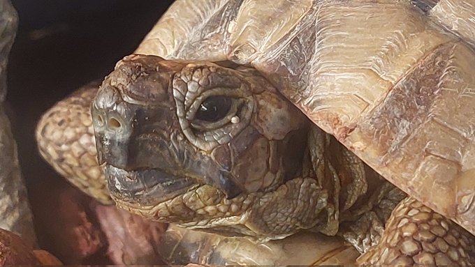 鼻水治らんなぁ 