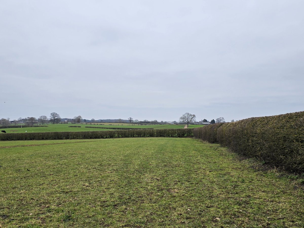 muirtwit's tweet image. This is what destruction of #Hs2 is causing, well maintained hedgerows being ripped out in March on award winning grassland farmland in #Staffordshire #StopHs2