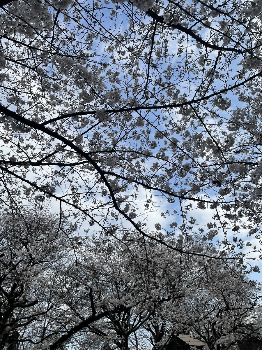 皇居一周してました