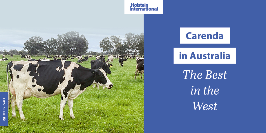 Holstein International tweet media