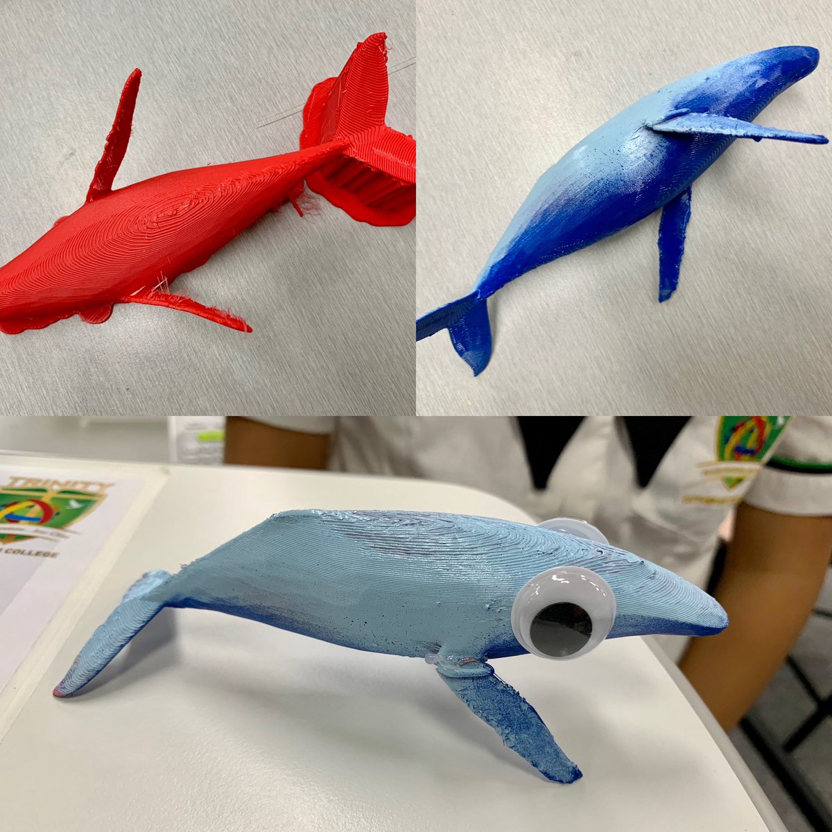i_heart_science's tweet photo. Creating sea creatures for an ocean themed mobile in Year 8 STEAM #3Dprinting #Tinkercad #Flashforge #Adventurer4 #LaserCutting #Emblaser2 #STEAM #Science #Technology #Engineering #Art #Maths #Innovation #Design #Creativity #Ideas #Planning #Constructing #Building #Evaluate https://t.co/aVRIHGUFZt