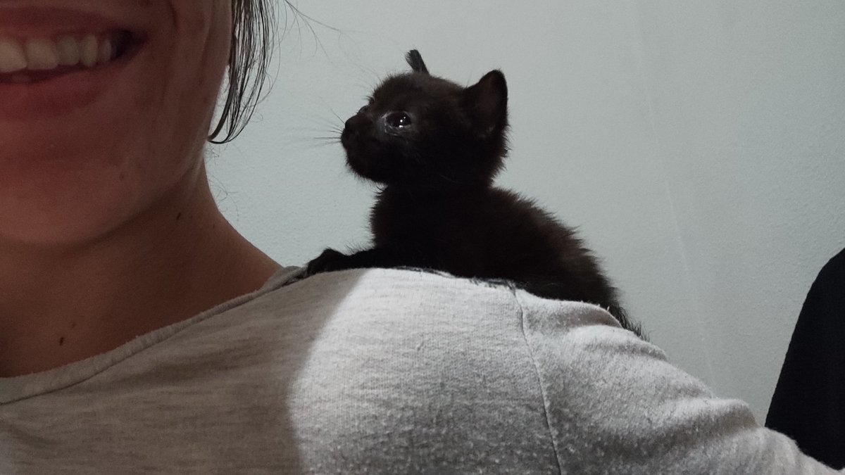 AinoAiny's tweet photo. Vengo a deciros que soy mamá. https://t.co/KZohb7z0Ip