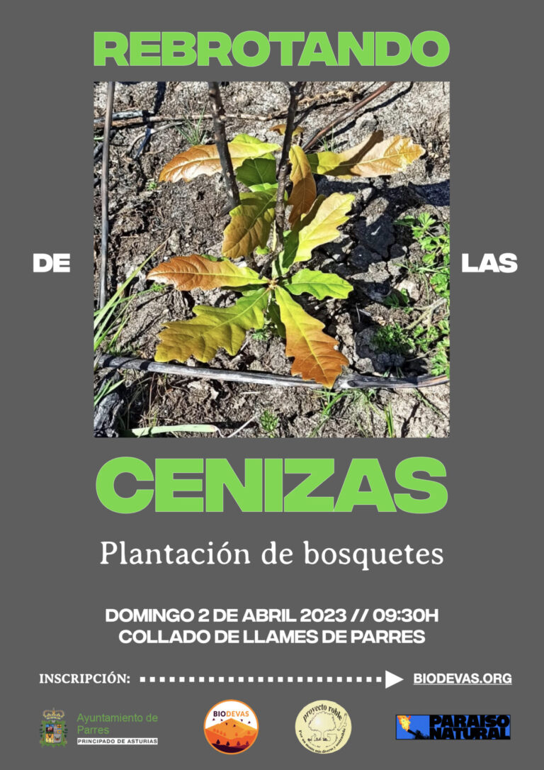 Campaña #RebrotandoDeLasCenizas

Da a me gusta, retuitea y ayúdanos a llegar al máximo de personas posibles con este hilo donde explicaremos el porqué de esta campaña a cerca de la gestión de montes y los incendios forestales que sufrimos, por la nefasta gestión del 
<a href="/GobAsturias/">Principado de Asturias</a>