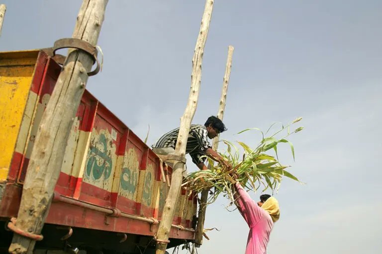 The Crop Trust tweet media