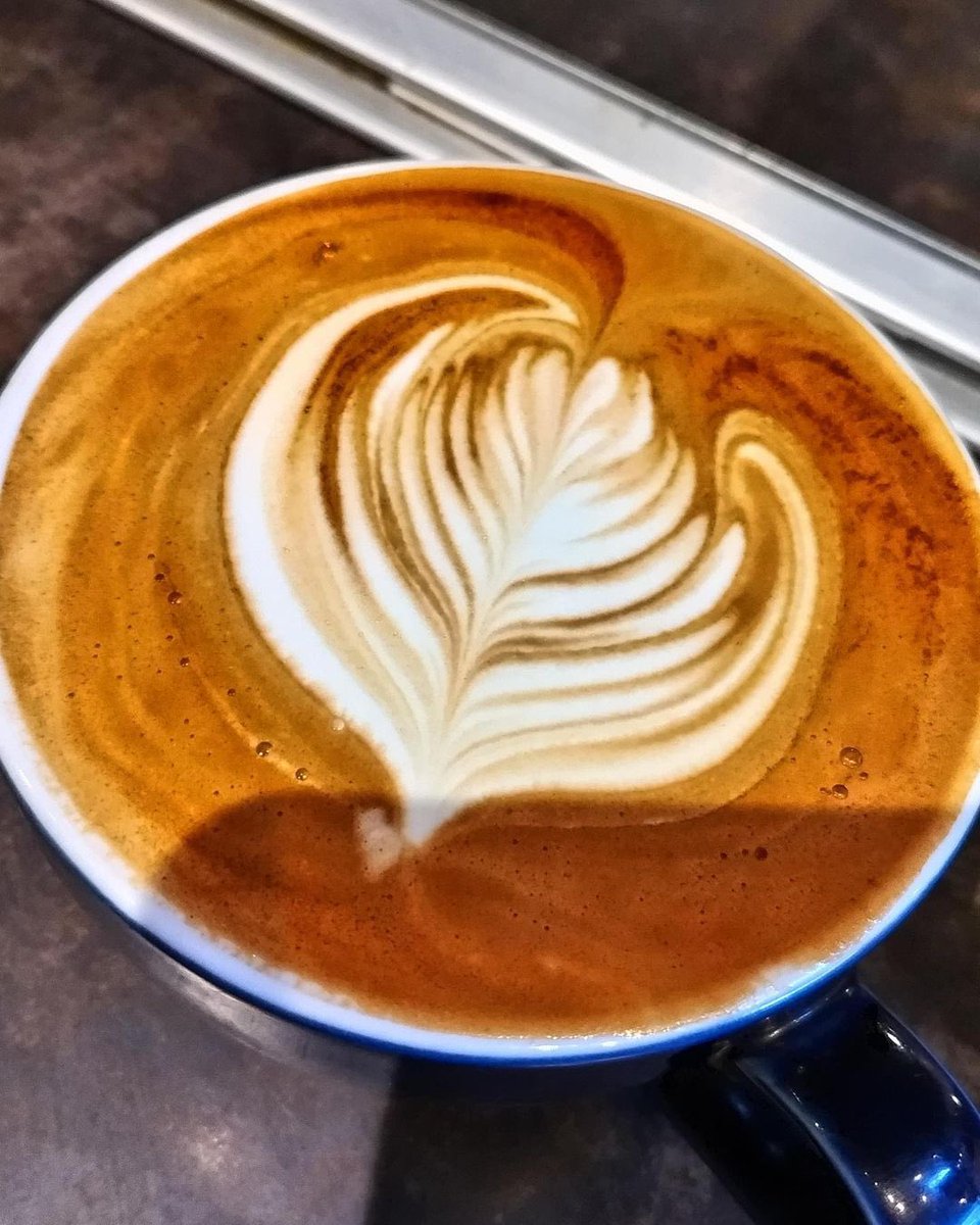 desenvies's tweet photo. Matinalement ☕️ https://t.co/EIw3GoOp6K