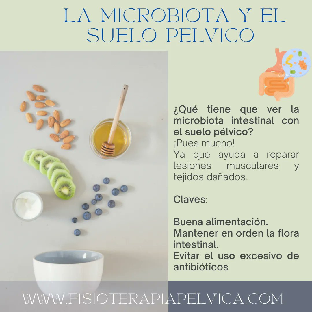Investigación de un grupo de científicos de Harvard han comprobado que la microbiota intestinal tiene mucho que ver con la reparación de lesiones musculares y de los daños en tejidos. buff.ly/3ga0KjO
