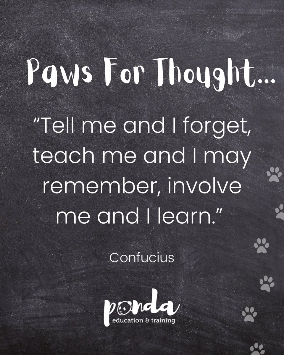 Panda Education tweet media