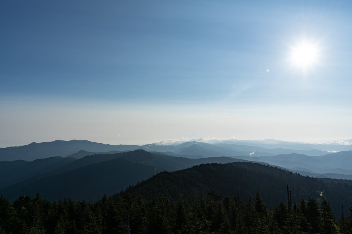 AetherFox0's tweet photo. Smokey Mountains July of last year. It was a great trip and got a lot of great shots too!

#photography #photographylovers #photographylover #naturelovers #naturephotography #yourshotphotographer https://t.co/k7ERH9IC8V