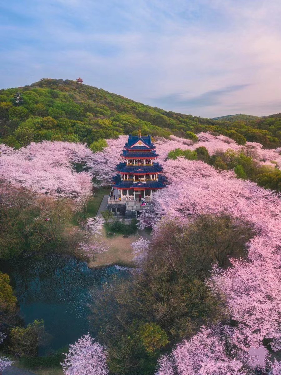 Beautiful Spring