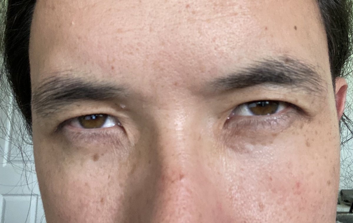 Me right now marking an assignment about ChatGPT’s impacts on academic submissions and potential for experimental design… would someone be this daring?