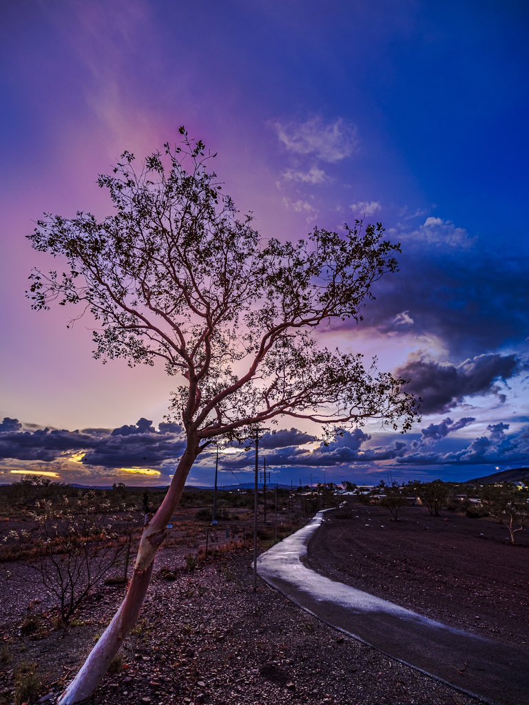 Pilbara colours.

#sunset #sunsetphotography #colour #desert #pilbara #purplehour #landscapephotography #canonaustralia #nisifiltersanz #3leggedthing #shimodadesigns #sandiskapac #gothere #kuhl #raw_community #elitepix