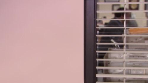 v_gee25's tweet image. This is my zoom call background. What are some of yours? #ADPRDogs