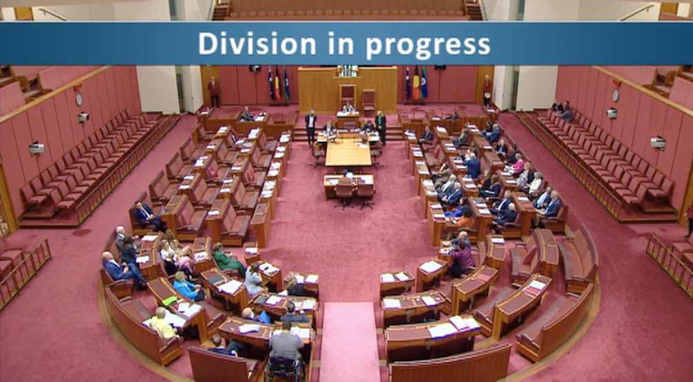 MrRexPatrick's tweet image. .@AustralianLabor and @LiberalAus have just joined forces to vote NO to the quarterly disclosure by ministers of who, outside Govt, is meeting with them to influence policies or decisions. Publication of people who lobby Govt is a #transparency and integrity measure #auspol #NACC