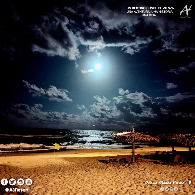 A3Resort's tweet photo. Momentos en Saxaa A3 Resort®
📸 @OctavioOlmedoH  
El paraíso en la tierra... #A3Resort
#SaxaaA3Resort #TeamSaxaa #OrgulloserSaxaa #Mexico #GrupoSaxaa #Vacaciones #Playa #Golf #Spa #ExperienciaSaxaa #SaxaaMoment #hotel #hotels #viajes #resort #viaja #siguemeytesigoseguro 🇲🇽 https://t.co/zTSkm3Lwai