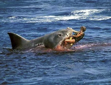 MistrelofHorror's tweet image. There is nothing worse than a shark that devours its victims above water!  It's like chewing with your mouth open, while your meal screams bloody murder!  Just pull it under already! #Horrror #shark @GNutsofHorror @DarthFreud @monsterproj @BloodsuckaJones @baron_craze