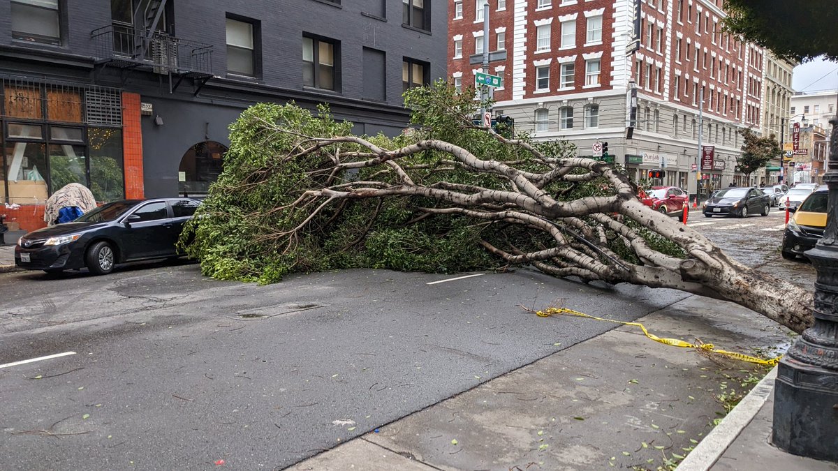 Cloth Cat Games tweet media